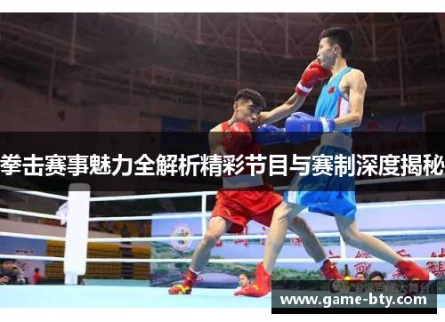 拳击赛事魅力全解析精彩节目与赛制深度揭秘